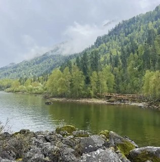 Новые изменения в Лесном кодексе: Алтай ждет туристический бум